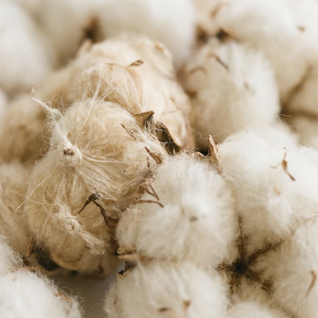 Organic Cotton Texture